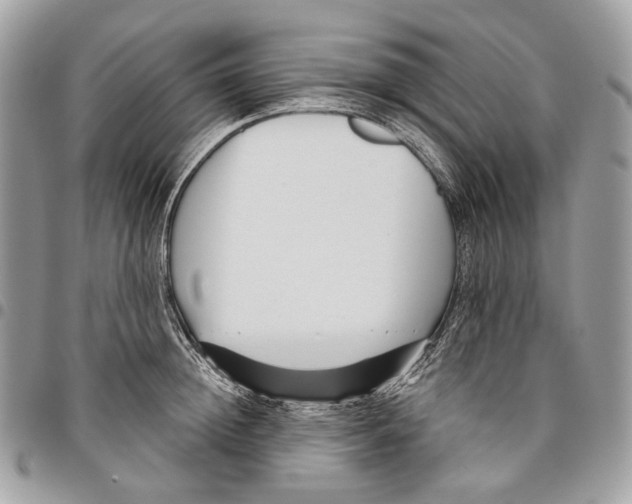 X0000095900852200802081138