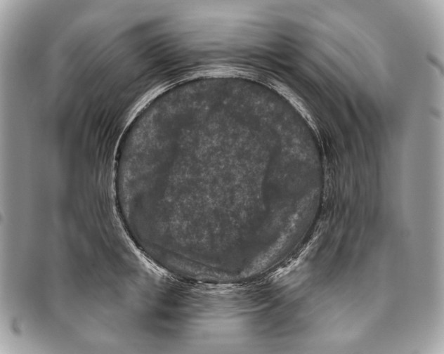 X0000095900853200802081138