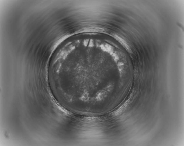 X0000095900854200802081138