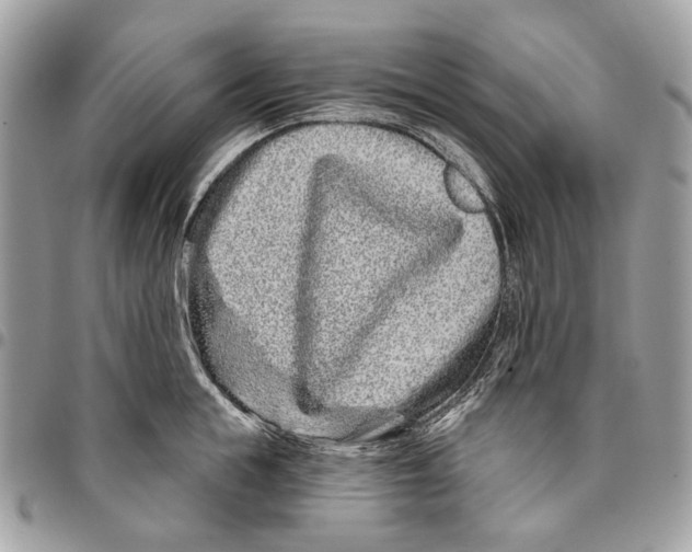 X0000095900855200802081138