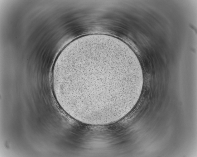 X0000095900856200802081138