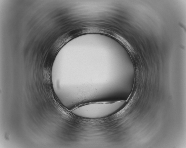 X0000095900857200802081138