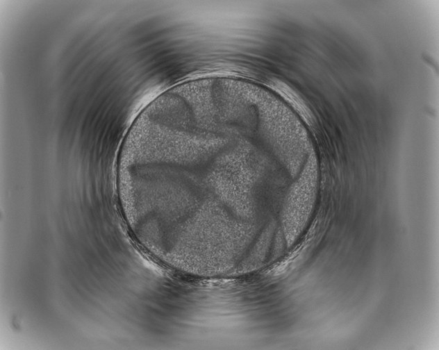 X0000095900858200802081138