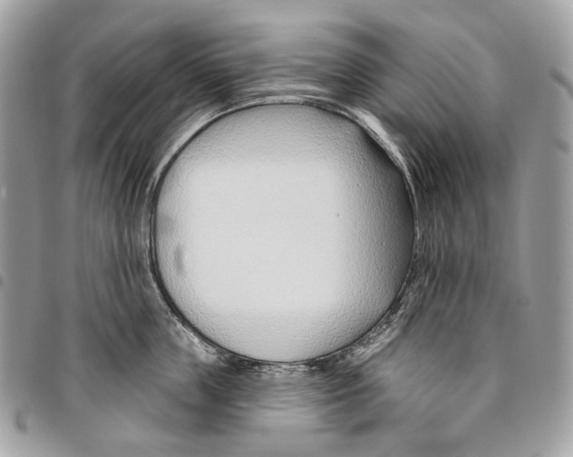 X0000095900859200802081138