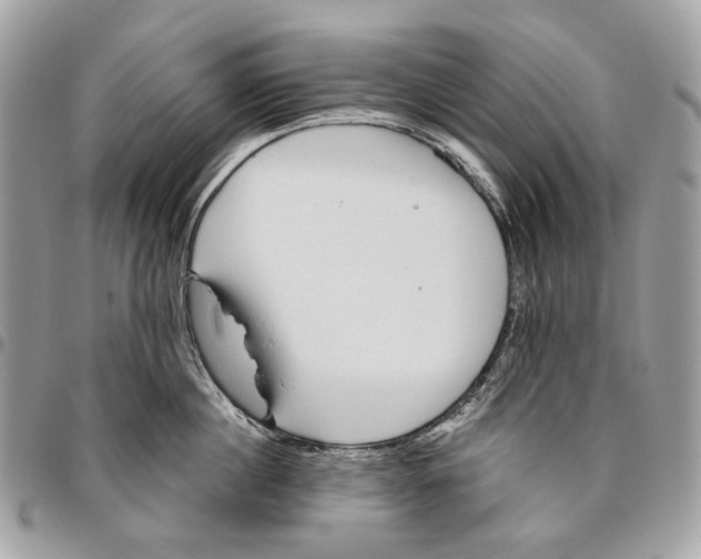 X0000095900860200802081138