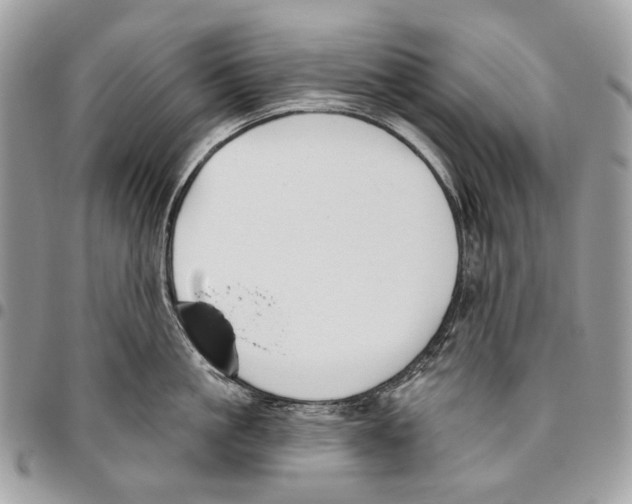 X0000095900861200802081138