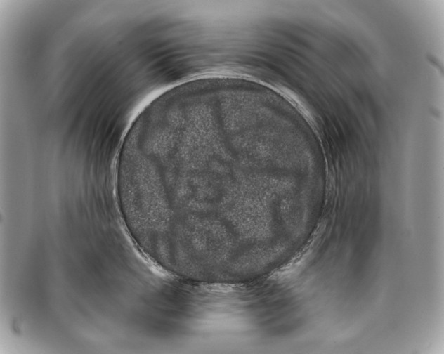 X0000095900862200802081138