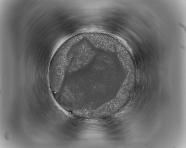 X0000095900863200802081138