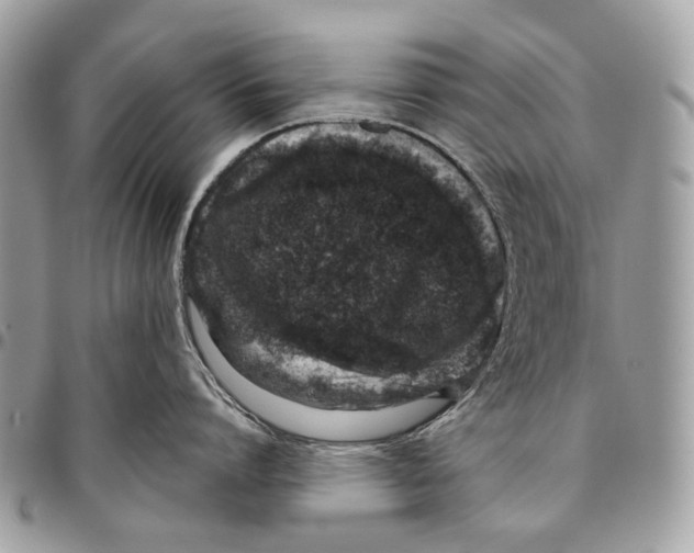 X0000095900864200802081138