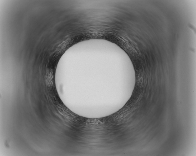 X0000095900866200802081138