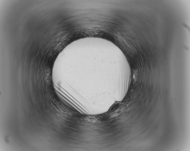 X0000095900867200802081138