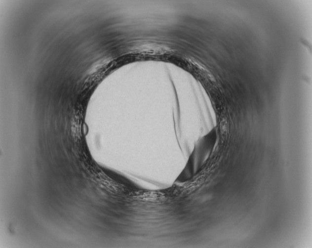 X0000095900869200802081138