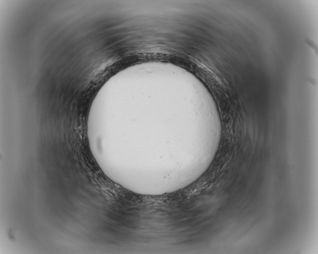 X0000095900870200802081138