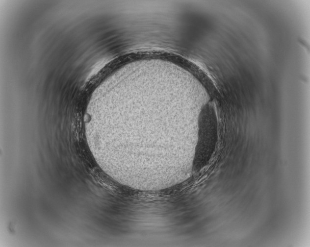 X0000095900871200802081138