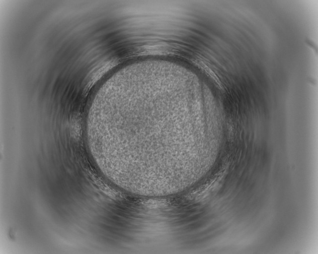 X0000095900874200802081138