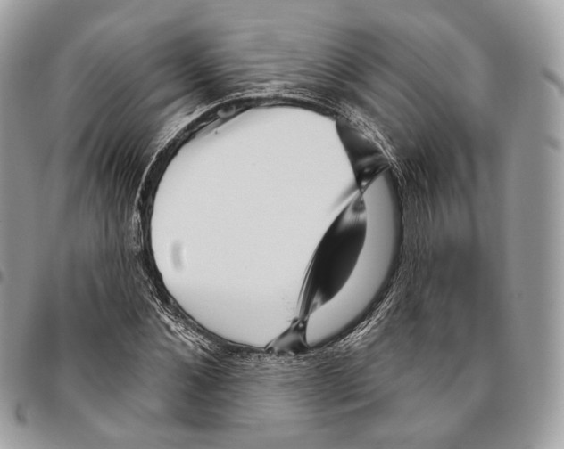 X0000095900876200802081138