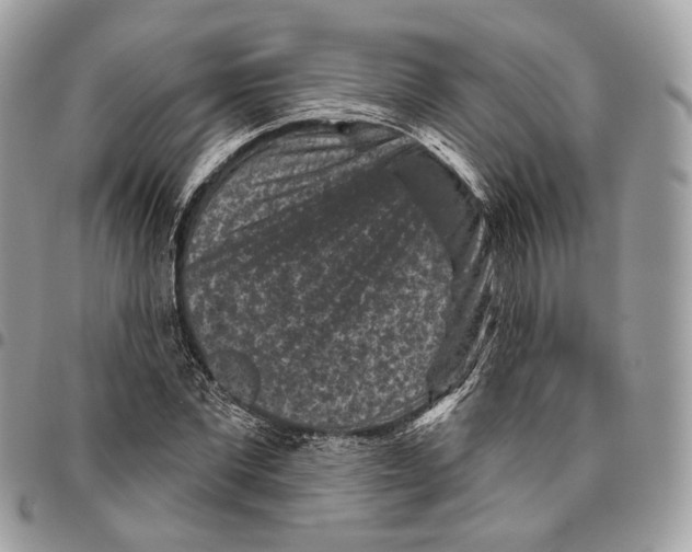 X0000095900877200802081138