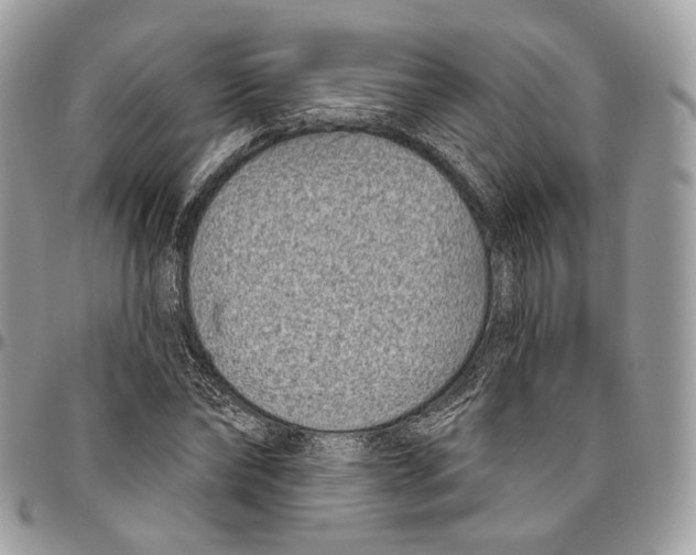 X0000095900878200802081138