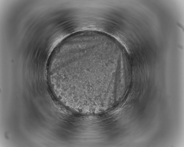 X0000095900879200802081138