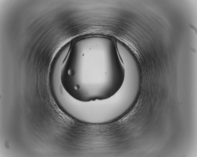 X0000095900880200802081138