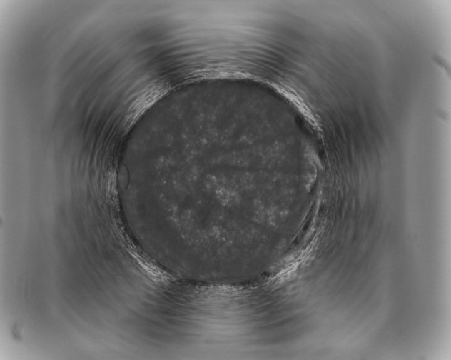 X0000095900881200802081138