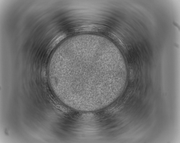 X0000095900882200802081138