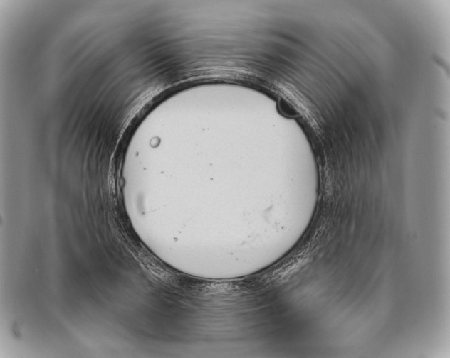 X0000095900883200802081138