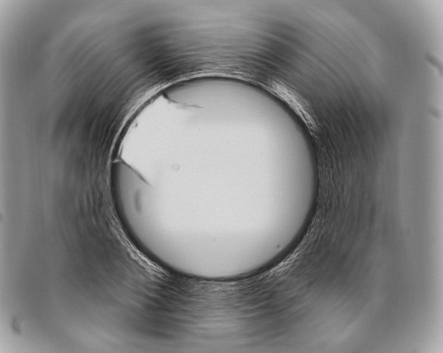 X0000095900884200802081138