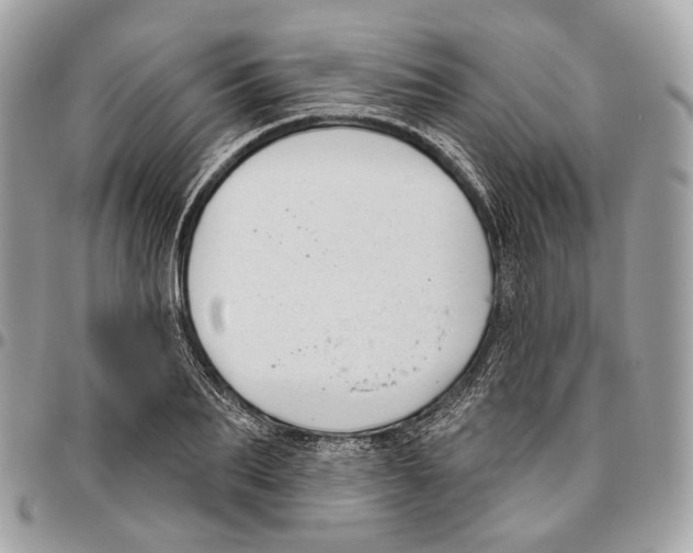 X0000095900887200802081137