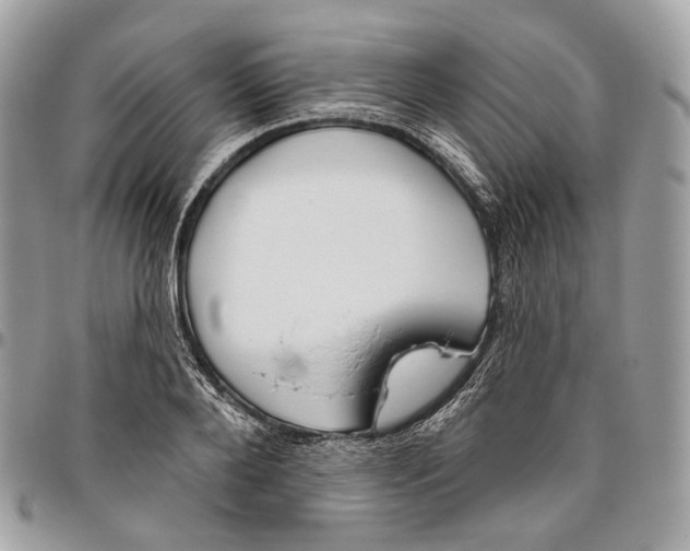 X0000095900888200802081137