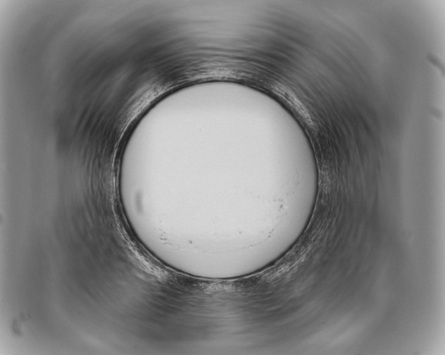 X0000095900890200802081137