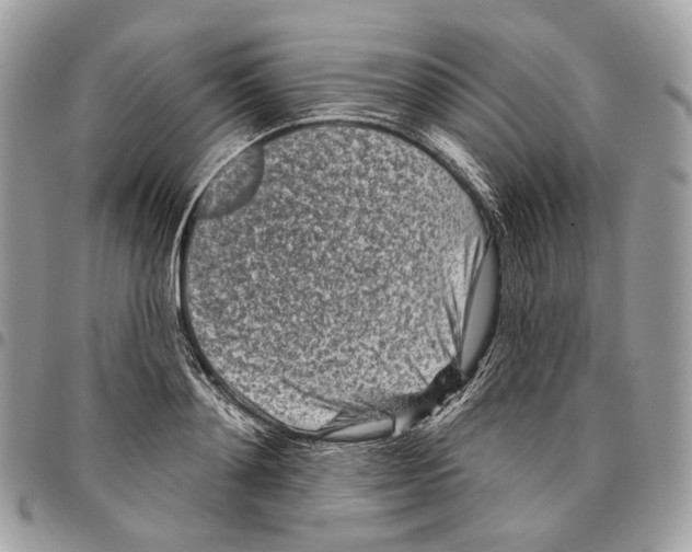 X0000095900892200802081137