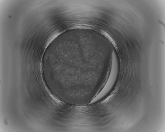 X0000095900893200802081137