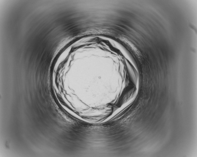 X0000095900894200802081137