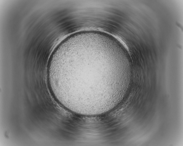 X0000095900895200802081137