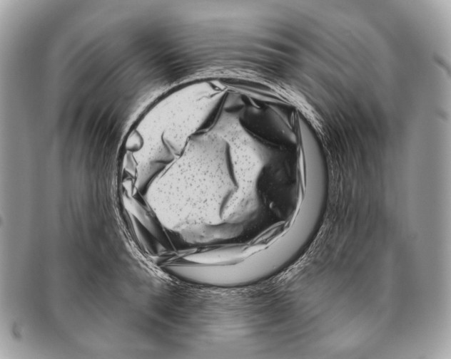 X0000095900896200802081137