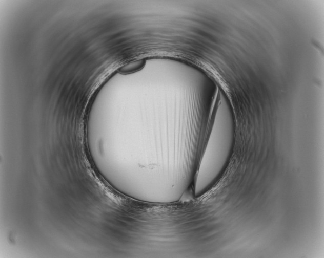 X0000095900898200802081137