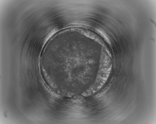 X0000095900899200802081137