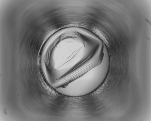 X0000095900900200802081137