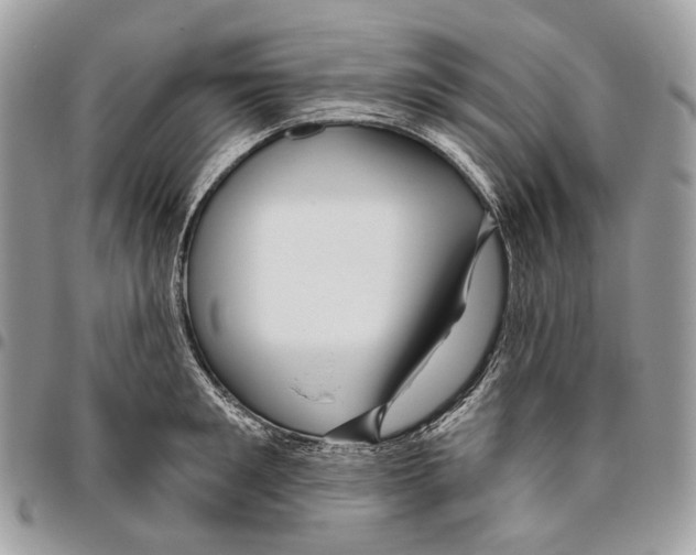 X0000095900901200802081137