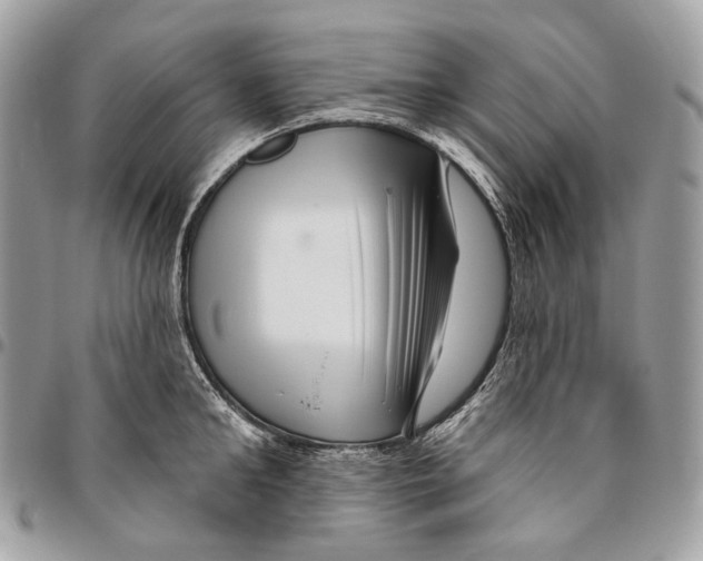 X0000095900902200802081137