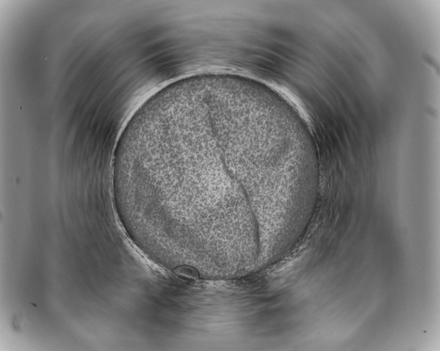 X0000095900903200802081137