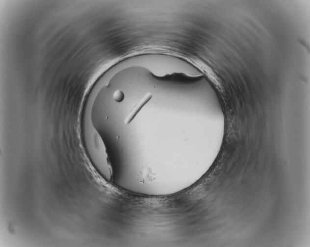 X0000095900904200802081137