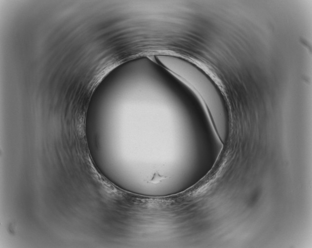 X0000095900905200802081137