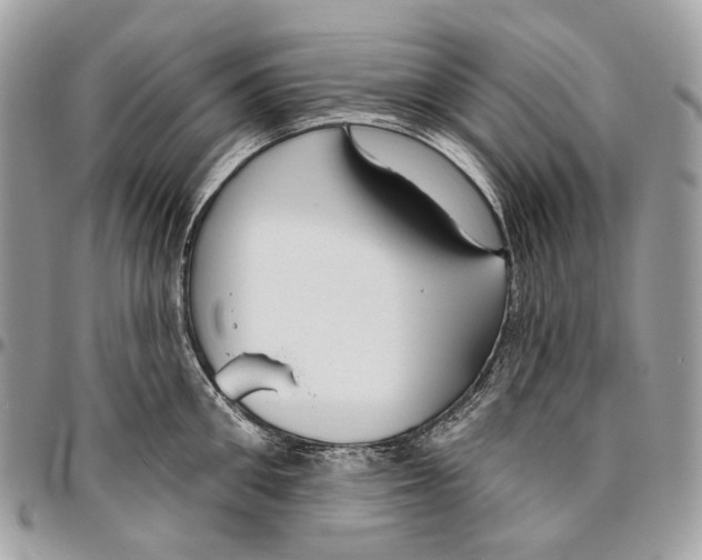 X0000095900906200802081137