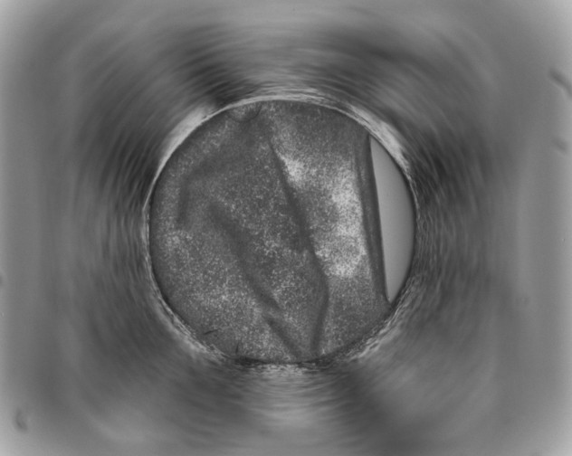 X0000095900907200802081137