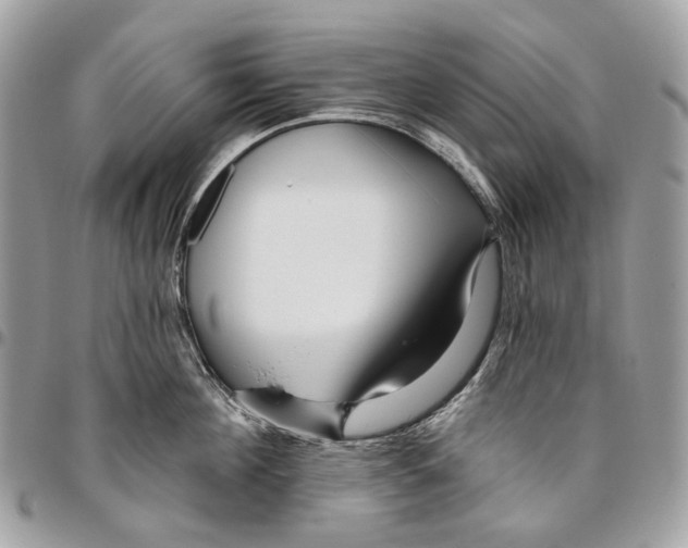 X0000095900908200802081137