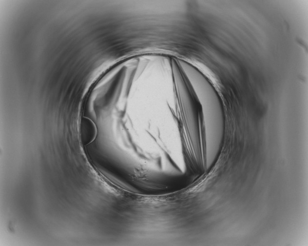 X0000095900910200802081137