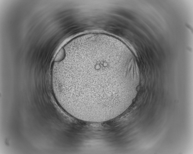 X0000095900911200802081137