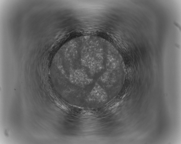 X0000095900913200802081136